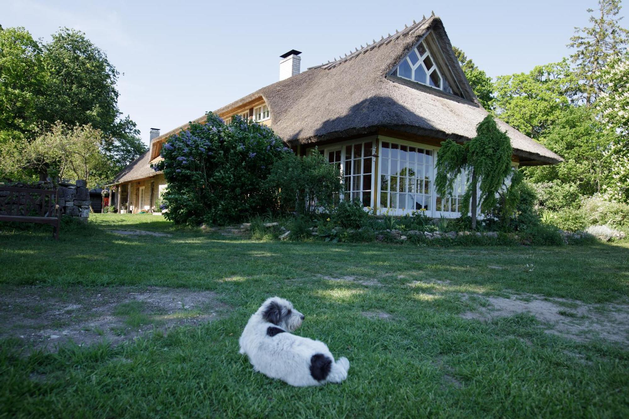 Muhu Tonise Talu Hotel Liiva  Exterior photo